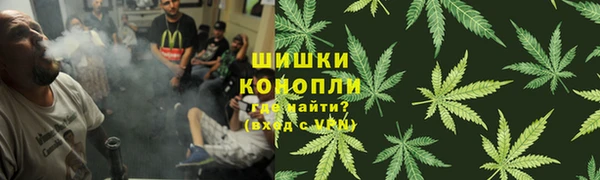 ГАЛЛЮЦИНОГЕННЫЕ ГРИБЫ Алексин