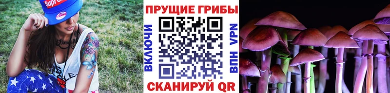 Псилоцибиновые грибы Cubensis  Артёмовский 